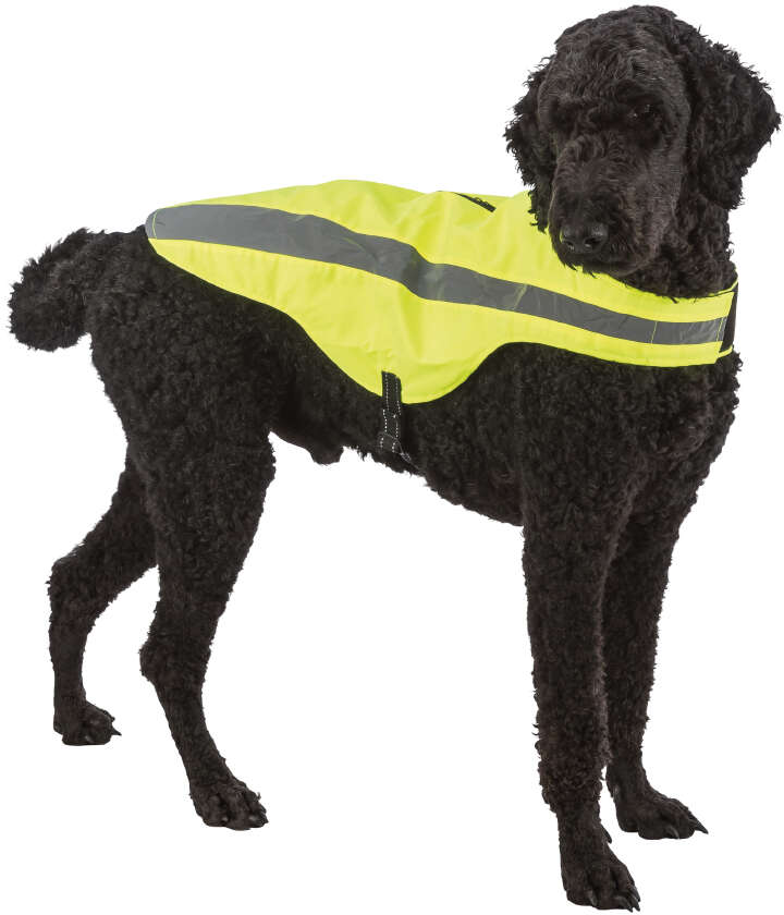 TRIXIE Sicherheitsweste für Hunde